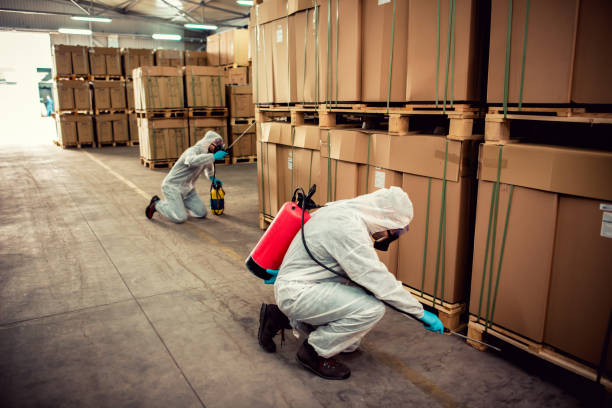 Best Best Pest Control Companies  in Newport, RI