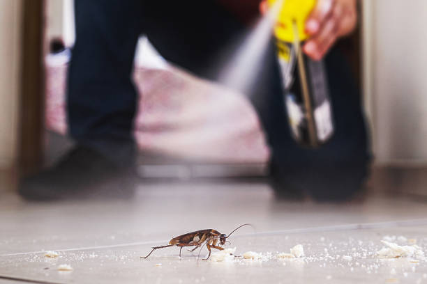Best Residential Pest Control  in Newport, RI